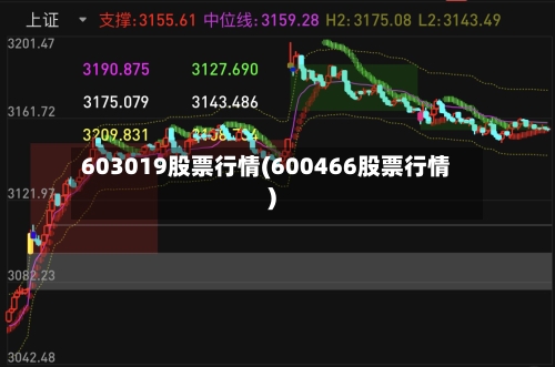 603019股票行情(600466股票行情)