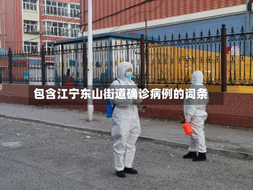 包含江宁东山街道确诊病例的词条