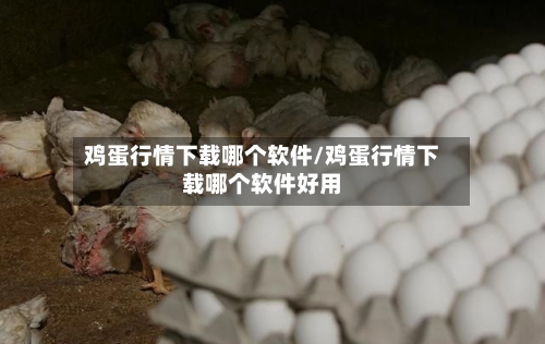 鸡蛋行情下载哪个软件/鸡蛋行情下载哪个软件好用-第2张图片