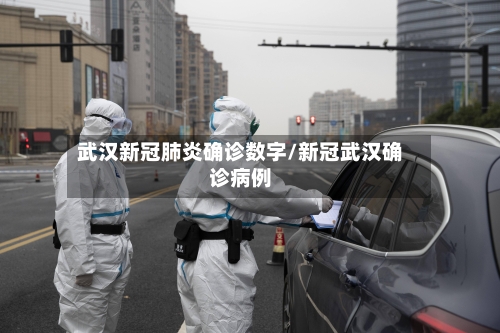 武汉新冠肺炎确诊数字/新冠武汉确诊病例