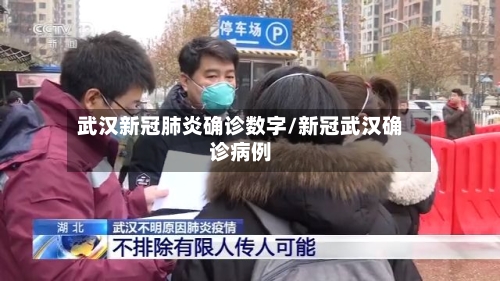 武汉新冠肺炎确诊数字/新冠武汉确诊病例-第2张图片