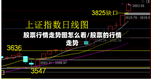股票行情走势图怎么看/股票的行情走势