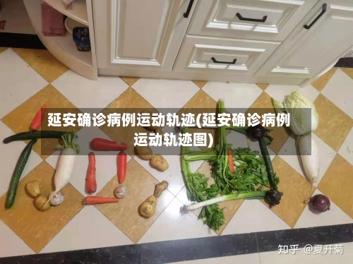 延安确诊病例运动轨迹(延安确诊病例运动轨迹图)-第3张图片