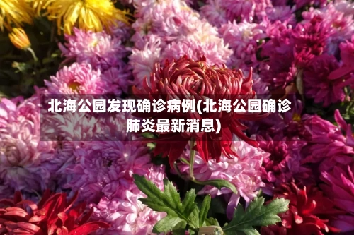 北海公园发现确诊病例(北海公园确诊肺炎最新消息)