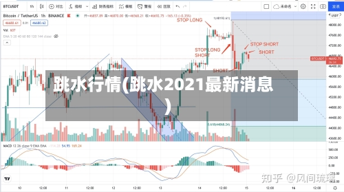 跳水行情(跳水2021最新消息)-第2张图片