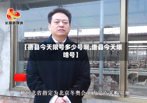 【唐县今天限号多少号啊,唐县今天限啥号】