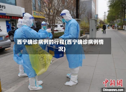 西宁确诊病例的行程(西宁确诊病例情况)