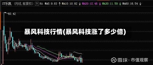 暴风科技行情(暴风科技涨了多少倍)