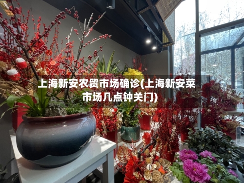 上海新安农贸市场确诊(上海新安菜市场几点钟关门)-第2张图片