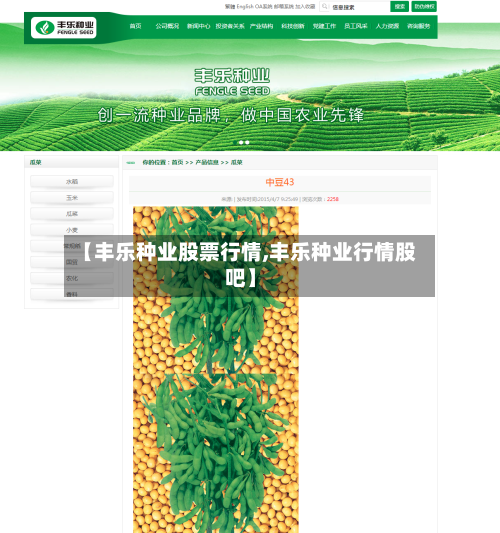 【丰乐种业股票行情,丰乐种业行情股吧】-第3张图片