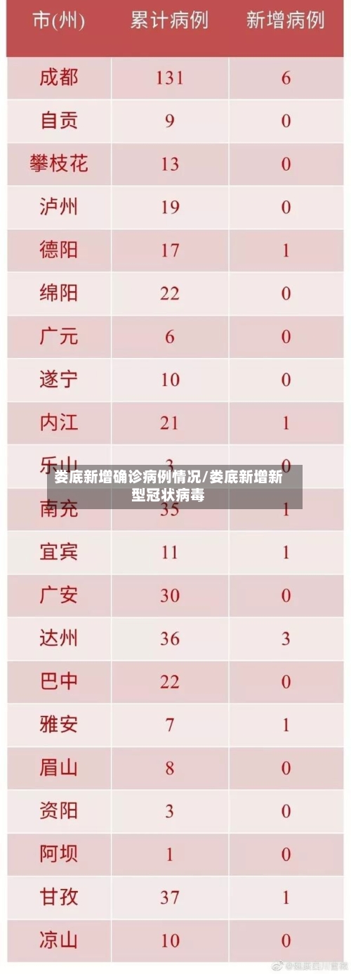娄底新增确诊病例情况/娄底新增新型冠状病毒-第3张图片