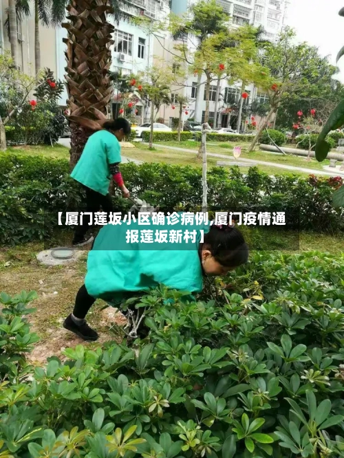 【厦门莲坂小区确诊病例,厦门疫情通报莲坂新村】