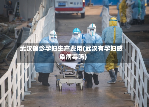 武汉确诊孕妇生产费用(武汉有孕妇感染病毒吗)