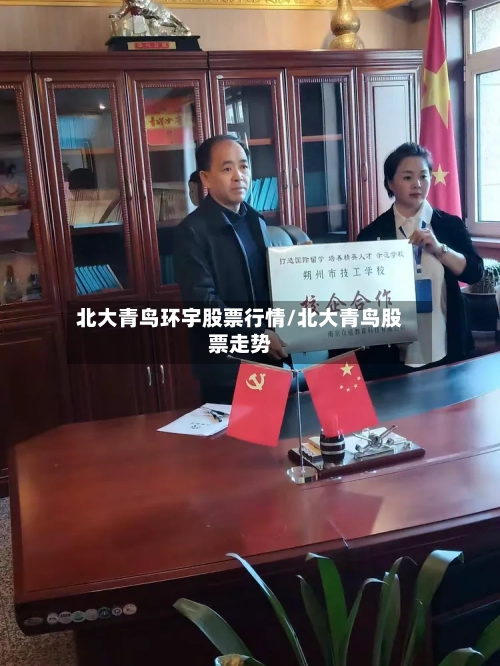 北大青鸟环宇股票行情/北大青鸟股票走势