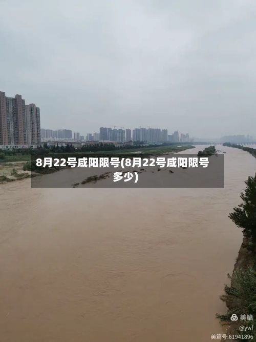 8月22号咸阳限号(8月22号咸阳限号多少)-第3张图片