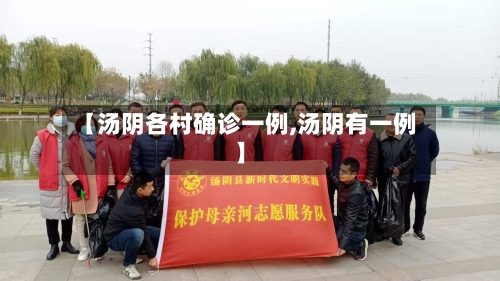 【汤阴各村确诊一例,汤阴有一例】-第2张图片