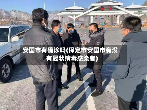 安国市有确诊吗(保定市安国市有没有冠状病毒感染者)-第3张图片