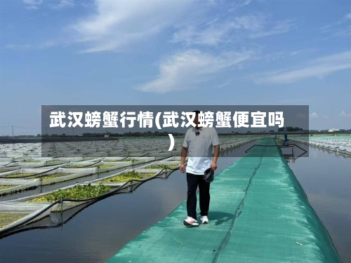 武汉螃蟹行情(武汉螃蟹便宜吗)-第3张图片