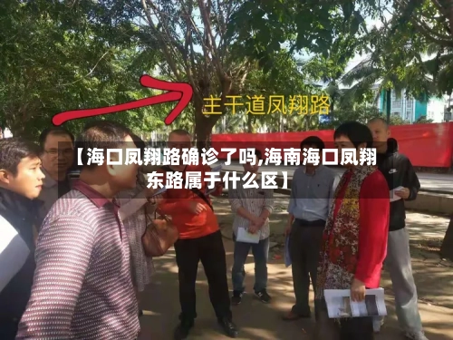 【海口凤翔路确诊了吗,海南海口凤翔东路属于什么区】-第2张图片