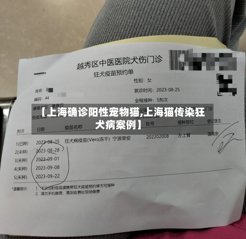 【上海确诊阳性宠物猫,上海猫传染狂犬病案例】