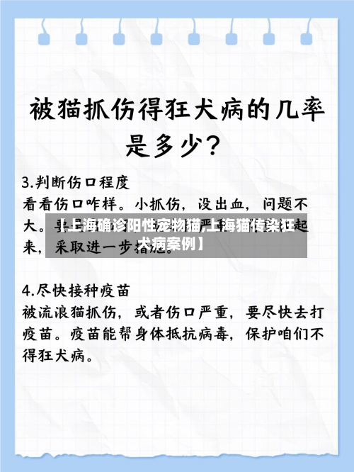 【上海确诊阳性宠物猫,上海猫传染狂犬病案例】-第2张图片