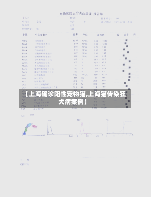 【上海确诊阳性宠物猫,上海猫传染狂犬病案例】-第3张图片