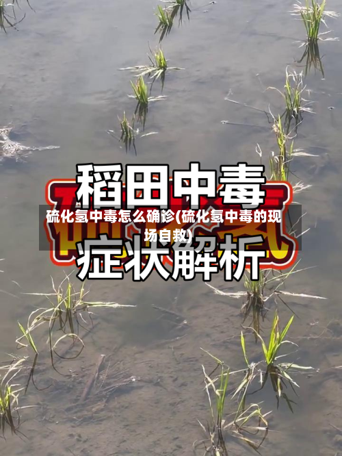 硫化氢中毒怎么确诊(硫化氢中毒的现场自救)-第2张图片