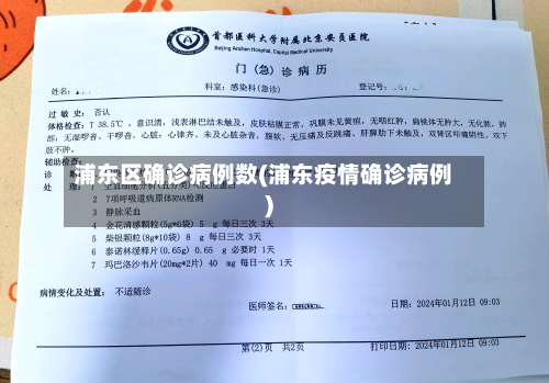 浦东区确诊病例数(浦东疫情确诊病例)-第3张图片