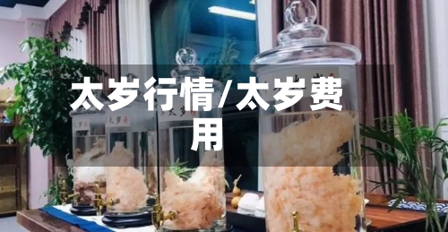 太岁行情/太岁费用