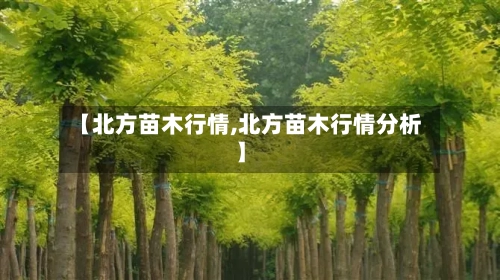 【北方苗木行情,北方苗木行情分析】-第2张图片