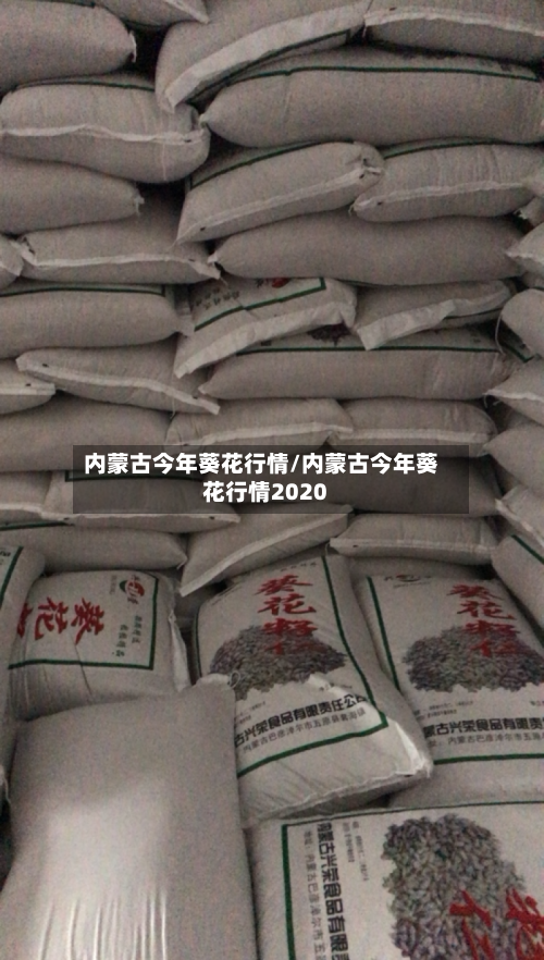 内蒙古今年葵花行情/内蒙古今年葵花行情2020