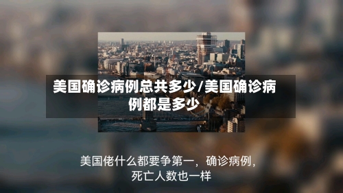 美国确诊病例总共多少/美国确诊病例都是多少
