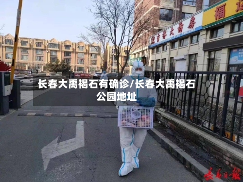 长春大禹褐石有确诊/长春大禹褐石公园地址-第3张图片