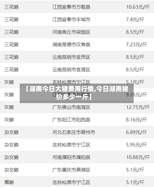 【湖南今日大猪费用行情,今日湖南猪价多少一斤】-第2张图片