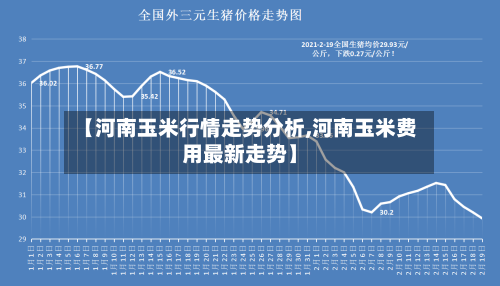 【河南玉米行情走势分析,河南玉米费用最新走势】