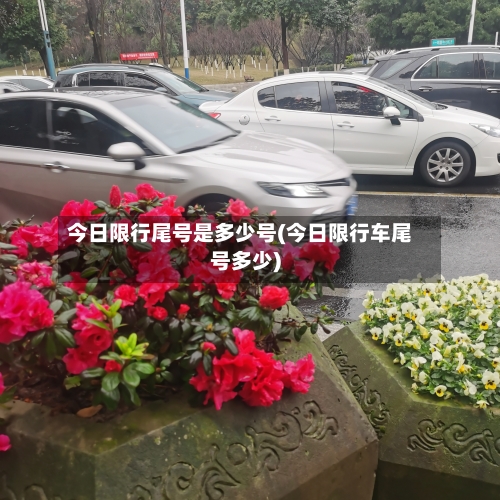 今日限行尾号是多少号(今日限行车尾号多少)-第2张图片
