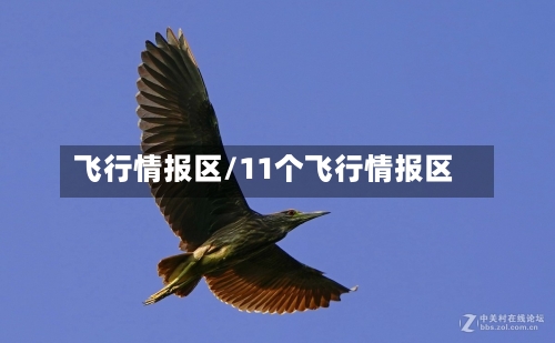 飞行情报区/11个飞行情报区-第3张图片