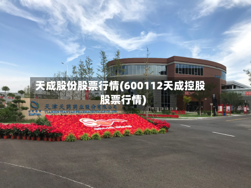 天成股份股票行情(600112天成控股股票行情)-第3张图片