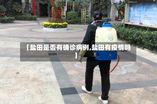 【盐田是否有确诊病例,盐田有疫情吗】-第2张图片