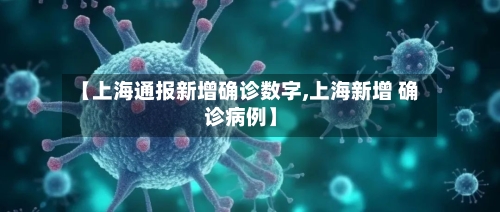 【上海通报新增确诊数字,上海新增 确诊病例】-第3张图片