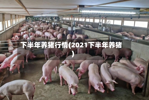 下半年养猪行情(2021下半年养猪)