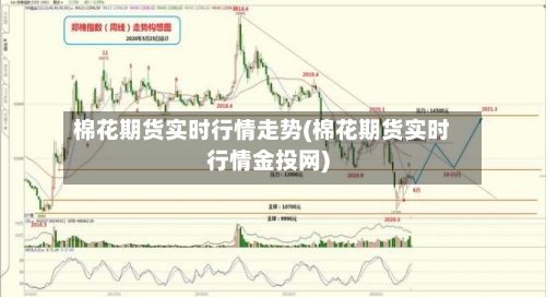 棉花期货实时行情走势(棉花期货实时行情金投网)-第2张图片