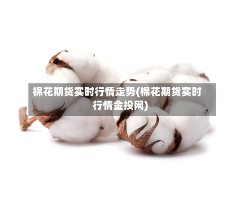 棉花期货实时行情走势(棉花期货实时行情金投网)