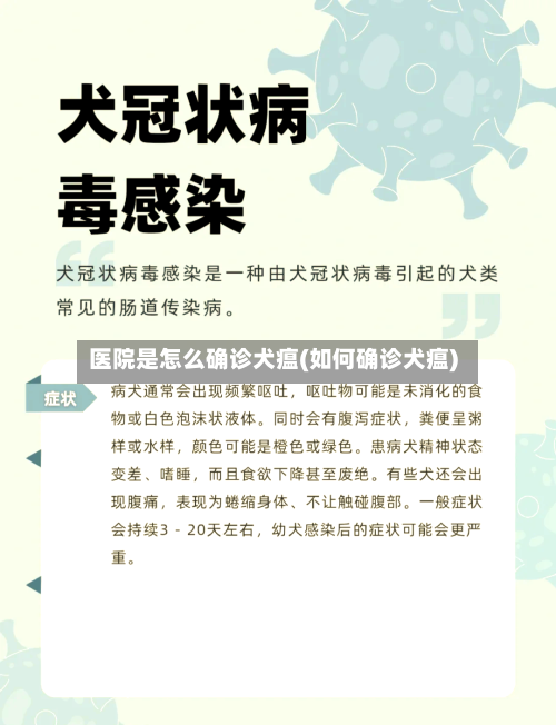 医院是怎么确诊犬瘟(如何确诊犬瘟)