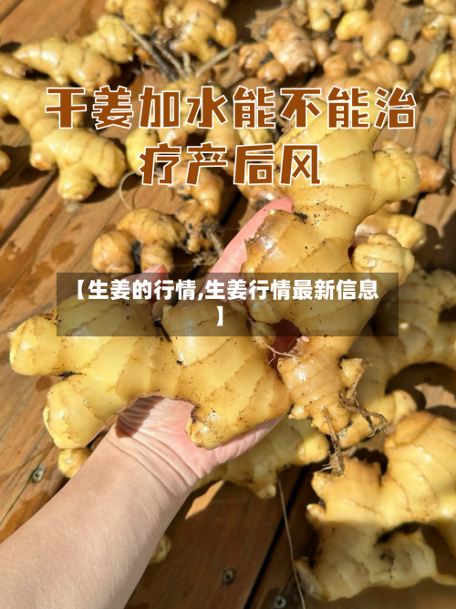 【生姜的行情,生姜行情最新信息】