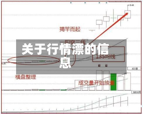 关于行情漂的信息