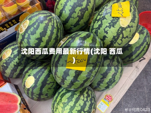 沈阳西瓜费用最新行情(沈阳 西瓜)