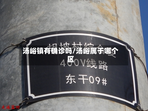 汤峪镇有确诊吗/汤峪属于哪个区-第2张图片