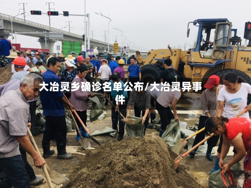 大冶灵乡确诊名单公布/大冶灵异事件