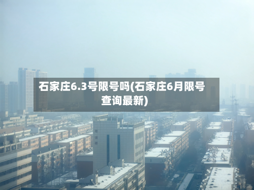 石家庄6.3号限号吗(石家庄6月限号查询最新)-第3张图片